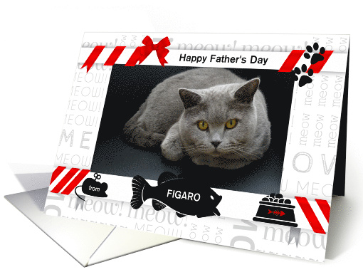 from the Cat Fun Father's Day Red and Black with Pet's Photo card