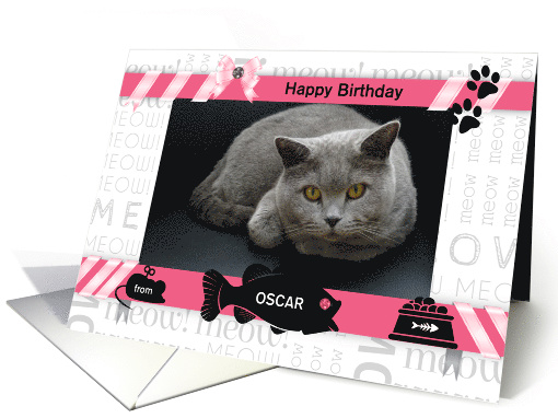 from the Cat Fun Birthday Pink and Black with Pet's Photo card