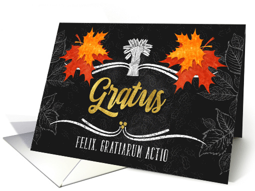 Latin Thanksgiving Grateful Belssings Chalkboard Blank card (1535418)