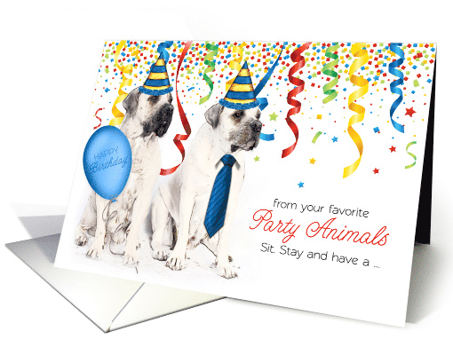 Birthday from the Pet Bordeaux Dogs with Party Hats and Confetti card