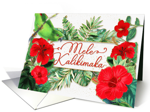 Mele Kalikimaka Hawaiian Red Hibiscus Tropical Christmas card