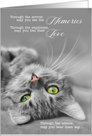 Loss of a Cat Pet Sympathy Silver Tabby Cat Sentimental card