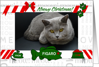 from the Cat Meowy Christmas with Pet’s Photo and Name card