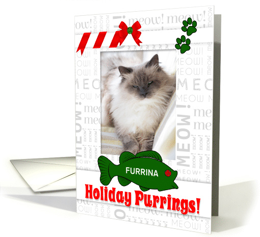 from the Cat Holiday Purrings with Pet's Photo and Name Vertical card