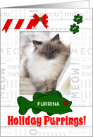 from the Cat Holiday Purrings with Pet’s Photo and Name Vertical card