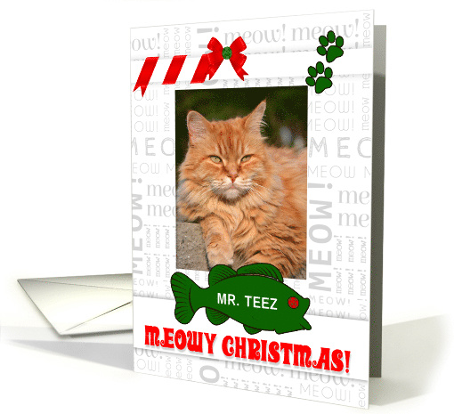from the Cat Meowy Christmas with Pet's Photo and Name Vertical card