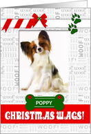 from the Dog Christmas Wags with Pet’s Photo and Name Vertical card