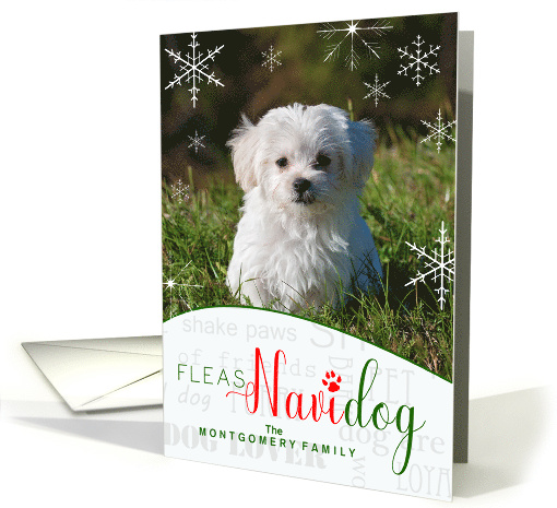 Fleas NaviDOG Funny Dog Lover Christmas Photo with Custom Text card