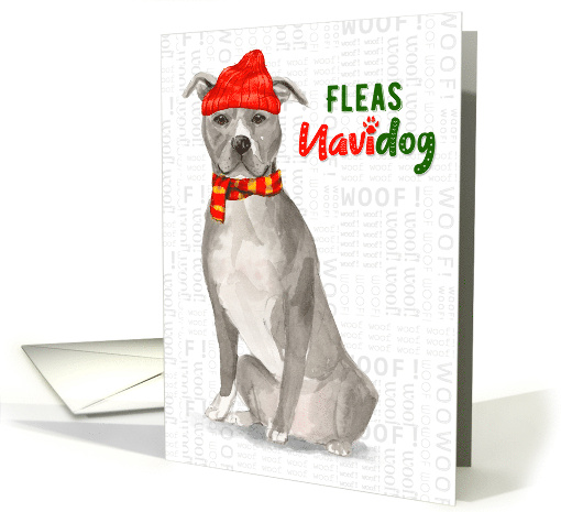 Grey American Staffordshire Terrier Fleas Navidog Christmas card
