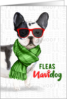 Boston Terrier Funny Fleas Navidog Christmas in Red and Green card