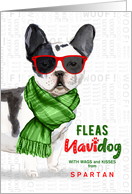 from the Dog Boston Terrier FunnyFleas Navidog Christmas Custom card
