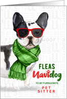 for Pet Sitter Boston Terrier FunnyFleas Navidog Christmas Custom card