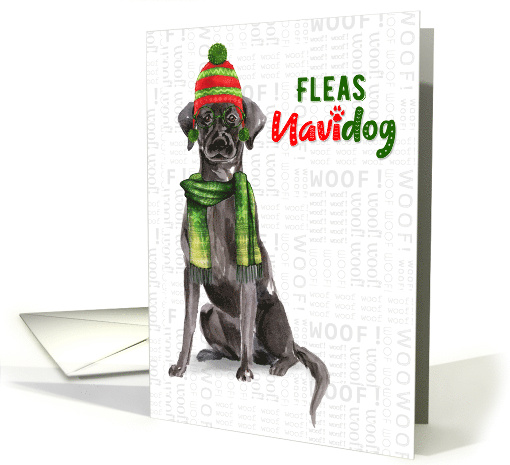 Black Lab Funny Fleas Navidog Christmas in Red and Green card