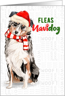 Australian Shepherd Funny Fleas Navidog Christmas card