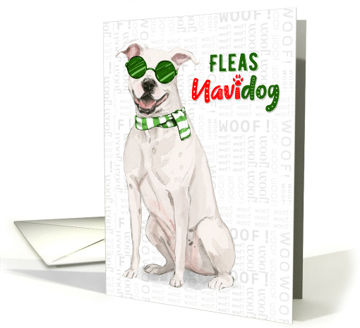 White Pit Bull Dog Funny Fleas Navidog Christmas card (1547500)