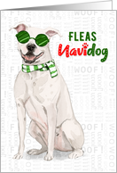 White Pit Bull Dog Funny Fleas Navidog Christmas card