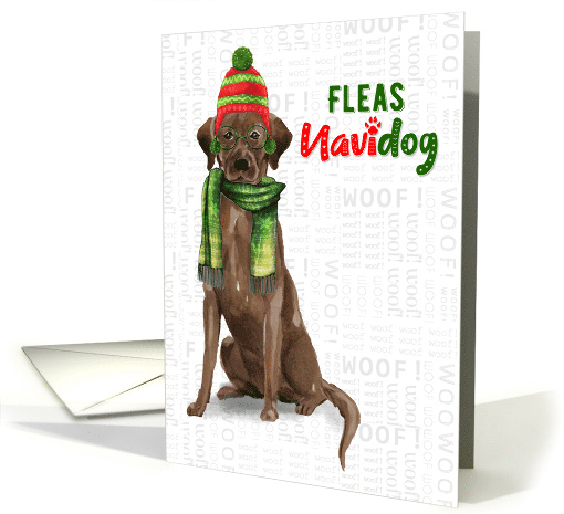 Chocolate Lab Funny Fleas Navidog Christmas in Red and Green card