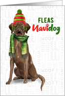 Chocolate Lab Funny Fleas Navidog Christmas in Red and Green card