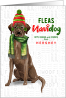 from the Dog Chocolate Lab Funny Fleas Navidog Christmas Custom card