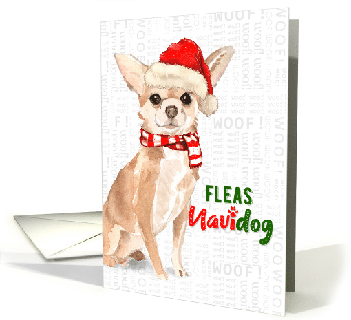 Chihuahua Funny Fleas Navidog Christmas in Red and Green card