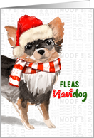 Long Haired Chihuahua Funny Fleas Navidog Christmas card