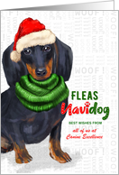 Dachshund Black and Tan Fleas Navidog Christmas Custom card
