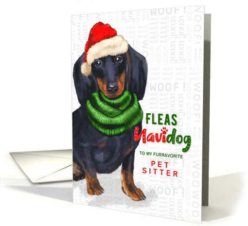 Pet Sitter Dachshund Fleas Navidog Christmas Custom card (1548548)