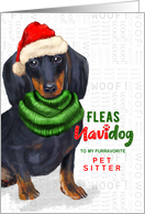 Pet Sitter Dachshund Fleas Navidog Christmas Custom card