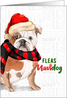 English Bulldog Funny Fleas Navidog Christmas card