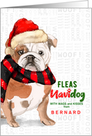 from the Dog English Bulldog Funny Fleas Navidog Christmas Custom card