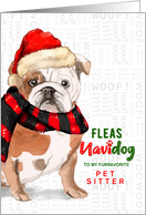 Pet Sitter English Bulldog Funny Fleas Navidog Christmas Custom card