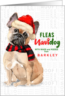from the Dog French Bulldog Funny Fleas Navidog Christmas Custom card
