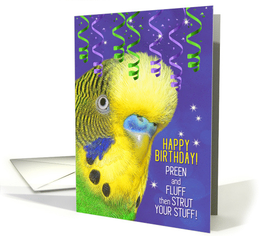 Parrot Lover Birthday with Budgie and Fun Bird Lover Message card