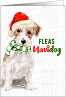 Jack Russell Dog Funny Fleas Navidog Christmas card