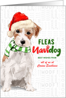Jack Russell Dog Funny Fleas Navidog Christmas Custom card