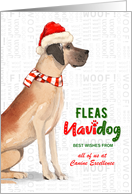 Great Dane Funny Fleas Navidog Christmas Custom card