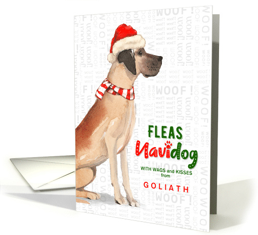 from the Dog Great Dane Funny Fleas Navidog Christmas Custom card