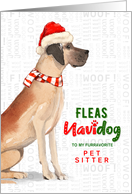 Pet Sitter Great Dane Funny Fleas Navidog Christmas Custom card
