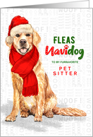for Pet Sitter Golden Retriever Fleas Navidog Christmas Custom card