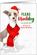 Italian Greyhound Dog Funny Fleas Navidog Christmas Custom card