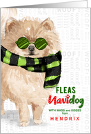 from the Dog Pomeranian Funny Fleas Navidog Christmas Custom card