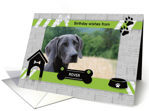 from the Dog Fun Birthday Green and Black with Pet's Horz Photo card