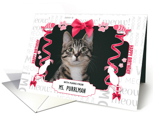 Birthday from the Cat Pink and Gray with Kitty's Photo card (1584542)