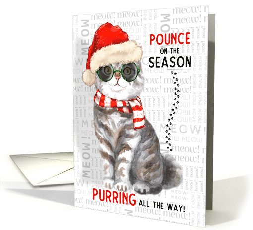 from the Cat Scottish Breed Funny Christmas Purring All the Way card