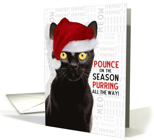 Pet Business Bombay Black Cat Funny Christmas Purring All the Way card