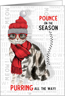American Shorthair Cat Breed Funny Christmas Purring All the Way card