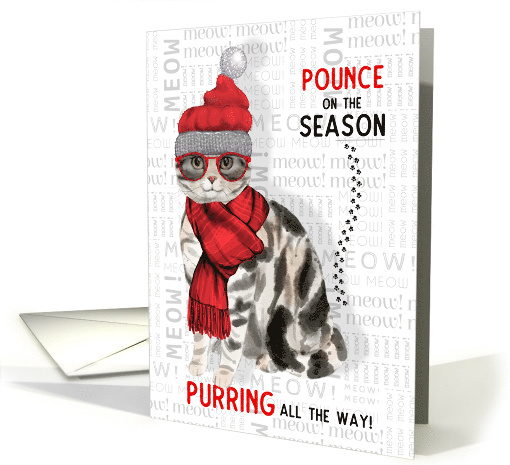 Pet Business American Shorthair Cat Funny Christmas card (1589674)