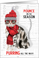 Pet Business American Shorthair Cat Funny Christmas card
