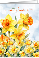 Italian Birthday Daffodil Garden Buon Compleanno card