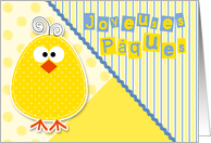 French Easter Chick in Blue and Yellow for Children Blank card